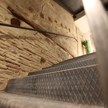 Vtz The Botanic Hostel Zaragoza Bagian luar foto